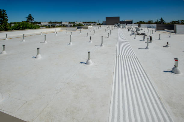 Best Gutter Installation and Repair  in Centreville, AL
